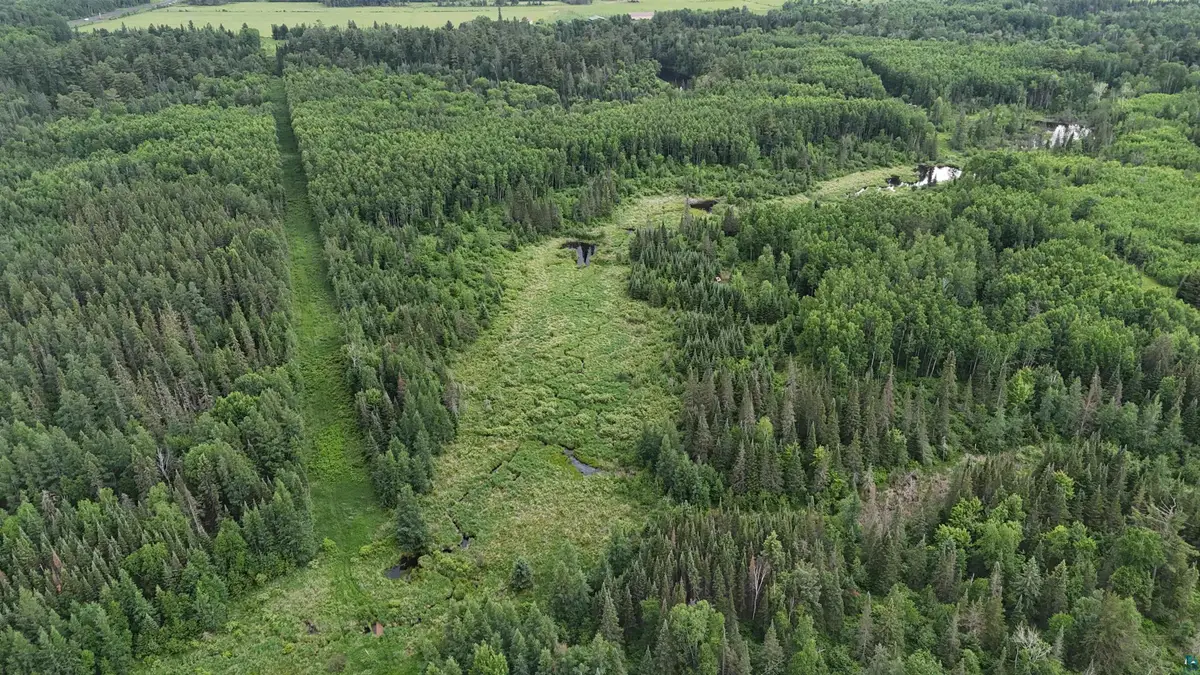 TBD Quaal Rd, Forbes, MN 55738 - #1