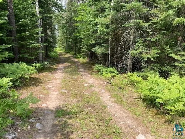 11919 Luna Lake Rd, Side Lake, MN 55781 - #3