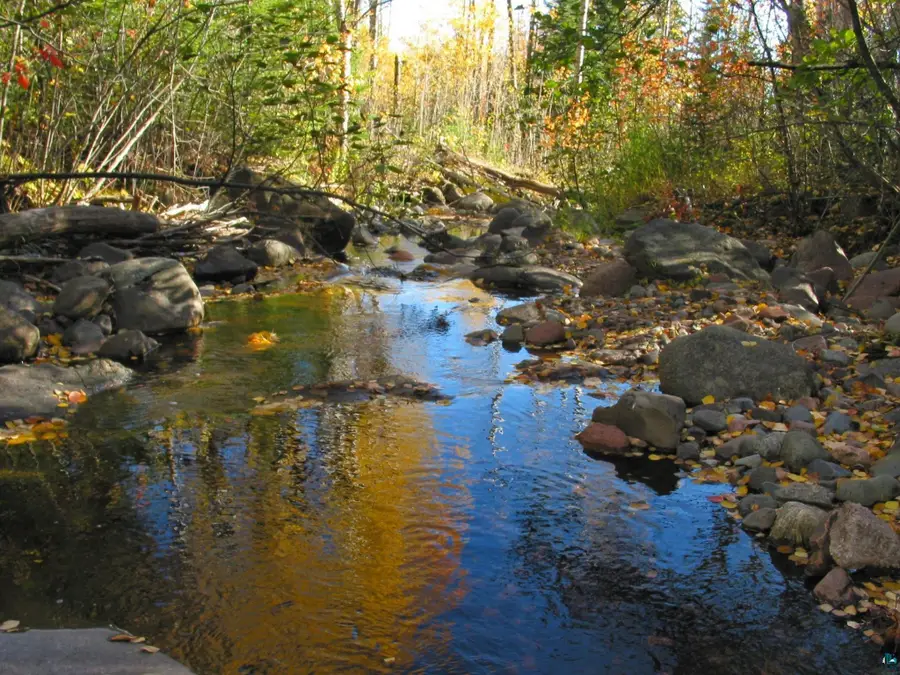 14 County Rd 48, Grand Marais, MN 55604 - #2