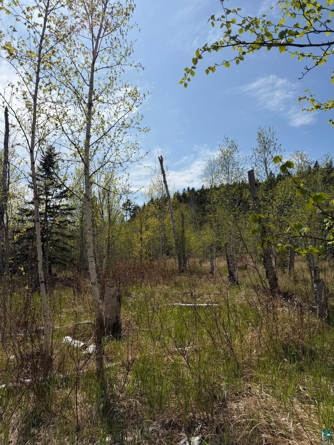 Lot 5 Birch Cliff Dr, Tofte, MN 55615 - #1