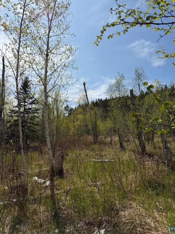 Lot 5 Birch Cliff Dr, Tofte, MN 55615
