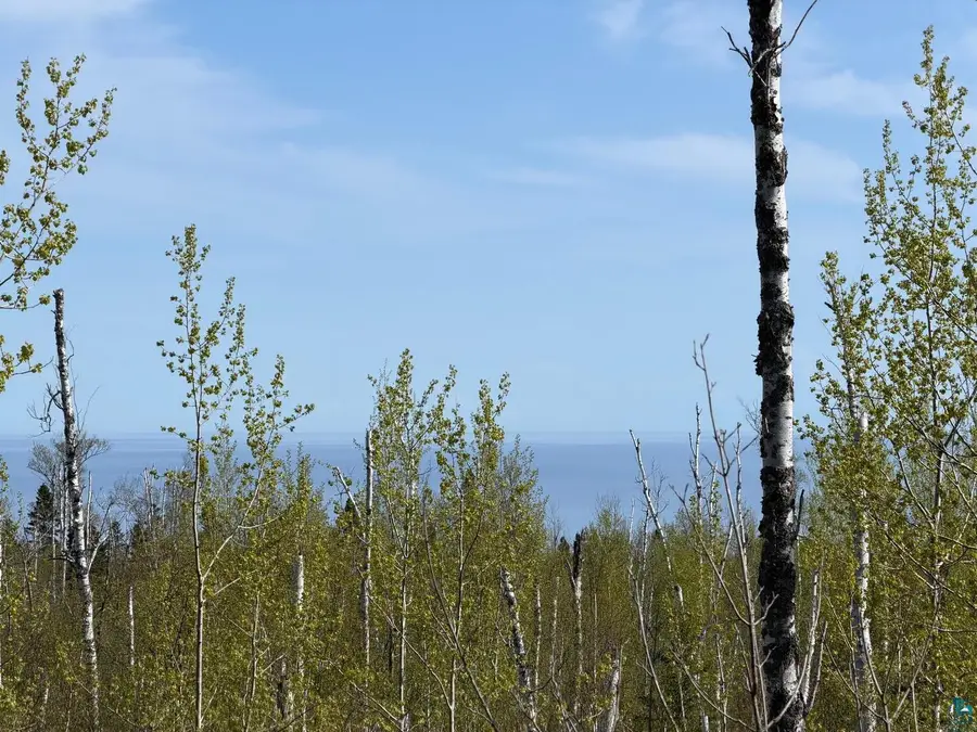 Lot 5 Birch Cliff Dr, Tofte, MN 55615 - #2