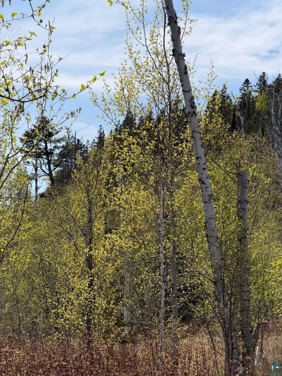 Lot 5 Birch Cliff Dr, Tofte, MN 55615 - #3