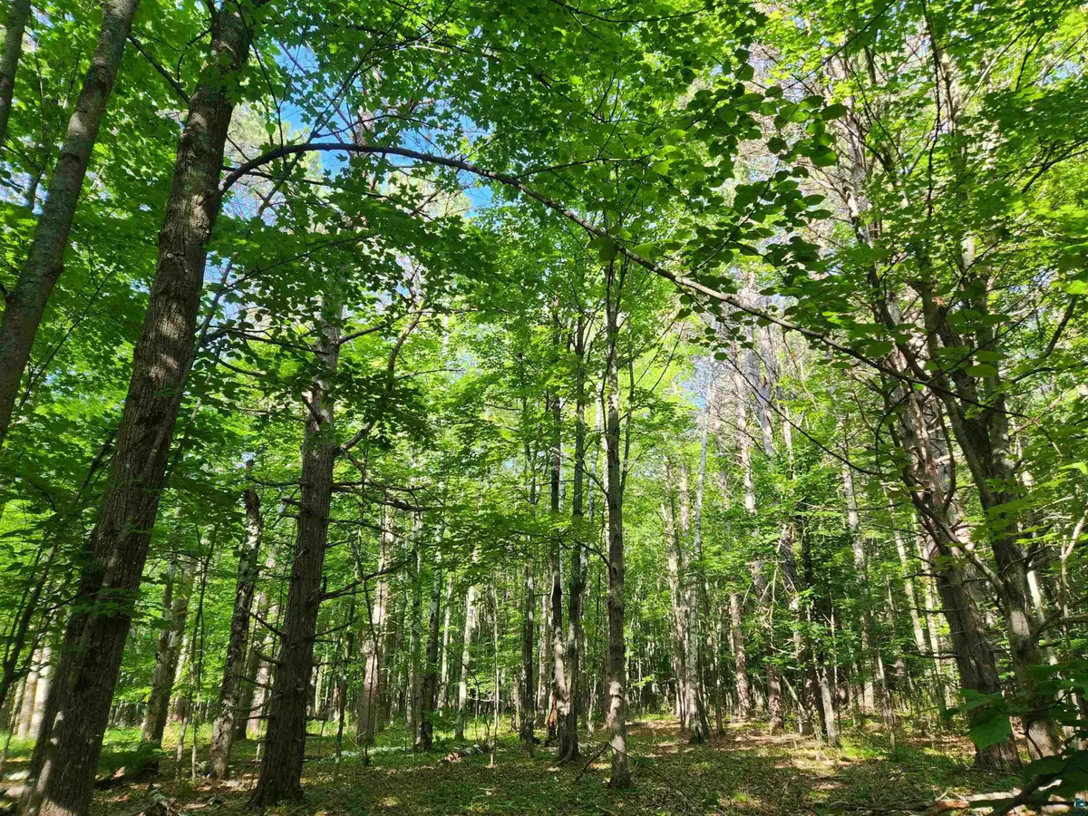 30XXX Sky Rd, Washburn, WI 54891 - #1