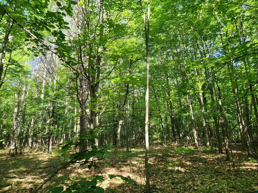 30XXX Sky Rd, Washburn, WI 54891 - #2
