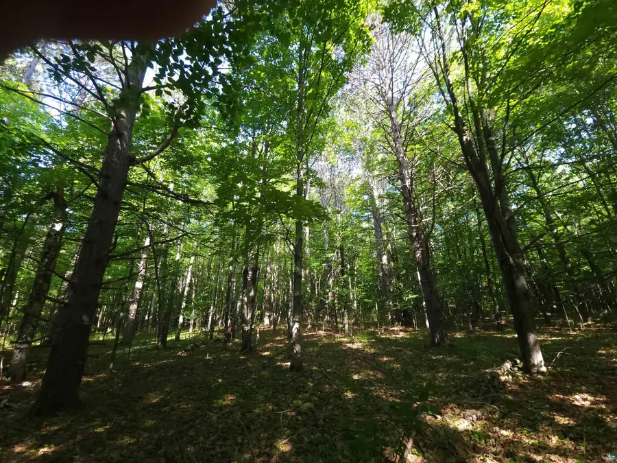 30XXX Sky Rd, Washburn, WI 54891 - #3