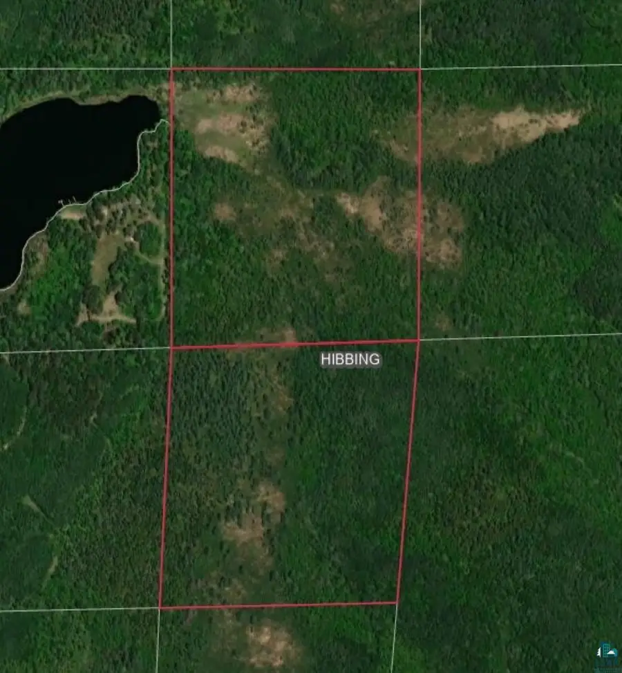 XXX S Town Line Rd, Hibbing, MN 55746 - #3