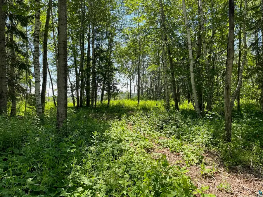 50xx Benson Rd, Hermantown, MN 55811 - #3
