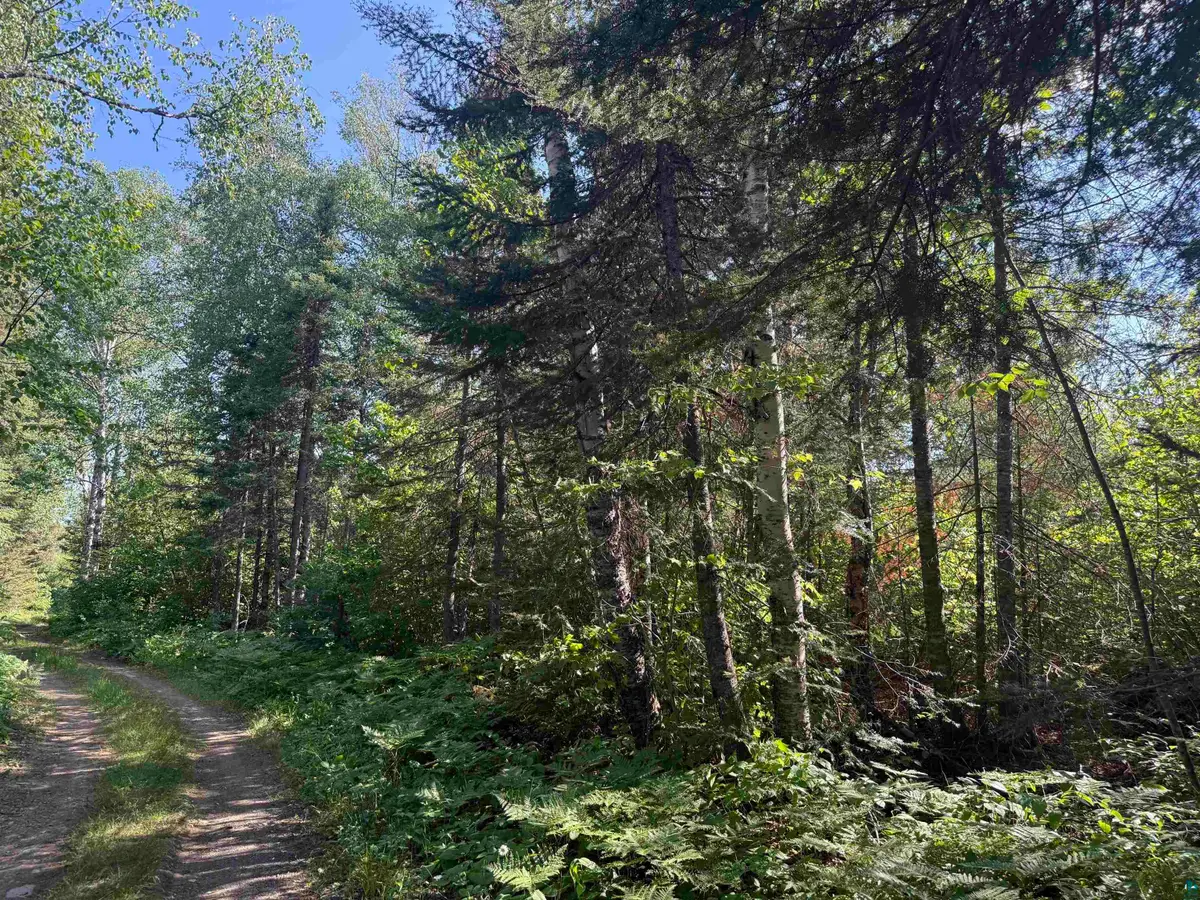 XXB Rocky Top Trail, Hovland, MN 55606 - #1