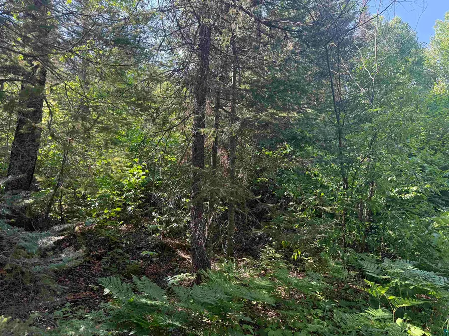 XXB Rocky Top Trail, Hovland, MN 55606 - #3