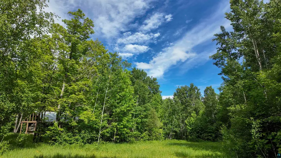 760 Caspers Hill Rd, Grand Marais, MN 55604 - #3