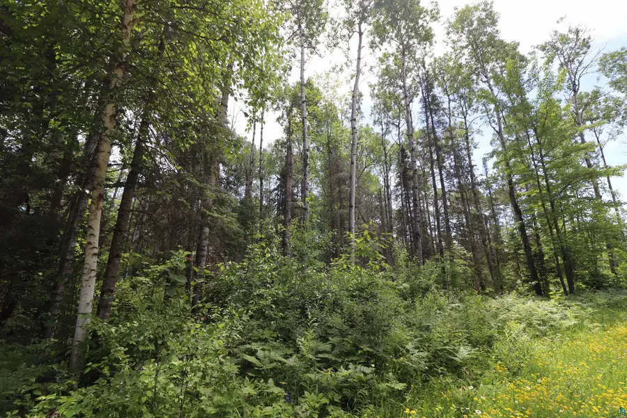 Lot 1 Campbell Rd, Herbster, WI 54844 - #2