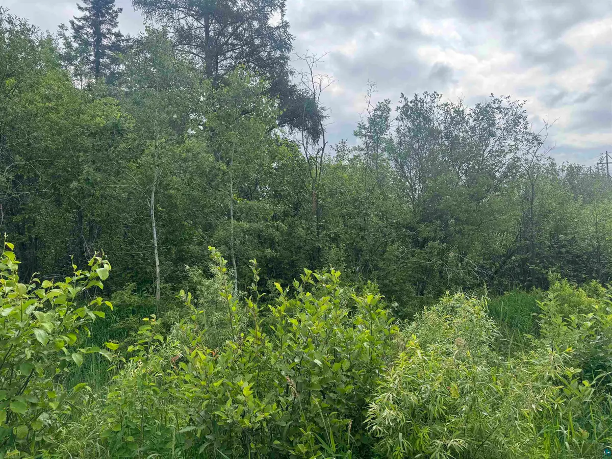 3xxx Quaal Rd, Forbes, MN 55738 - #1