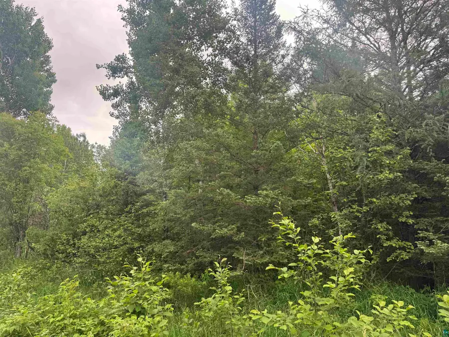 3xxx Quaal Rd, Forbes, MN 55738 - #2