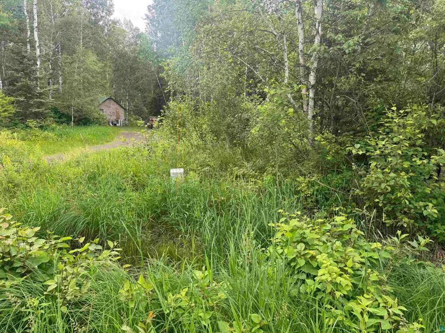 3xxx Quaal Rd, Forbes, MN 55738 - #3