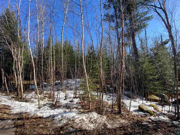 XXC Pine Peak Rd, Lutsen, MN 55612