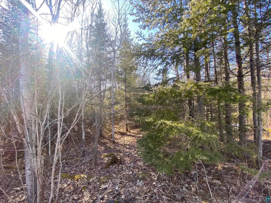 XXC Pine Peak Rd, Lutsen, MN 55612 - #2