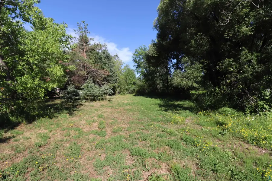 8XX Copper Falls Dr, Mellen, WI 54546 - #2