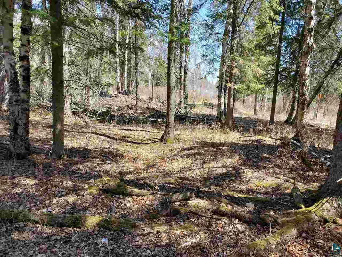 Lot 2 Hoaglund Dr, Tofte, MN 55615 - #1