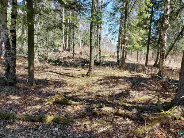 Lot 2 Hoaglund Dr, Tofte, MN 55615
