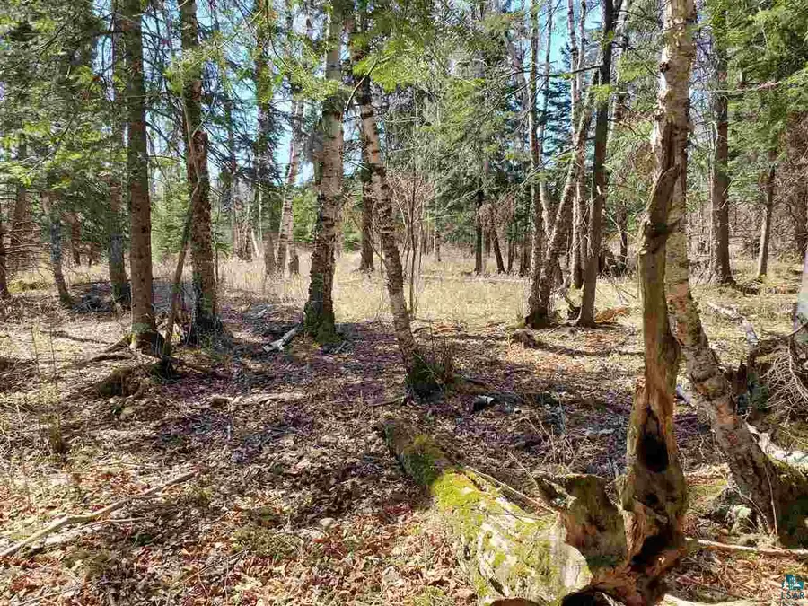 Lot 2 Hoaglund Dr, Tofte, MN 55615 - #3