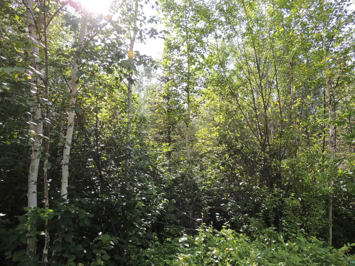 X2 Cougar Tr, Grand Marais, MN 55604 - #1