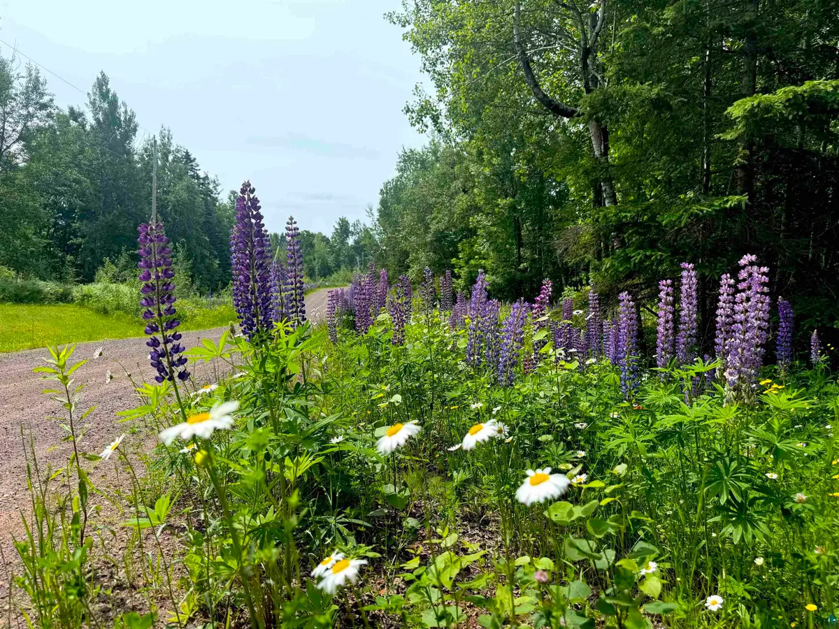 Lot 7 Snowshoe Tr, Tofte, MN 55615 - #1