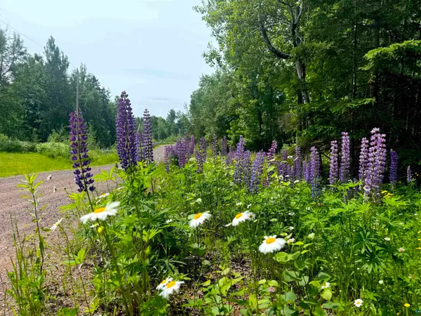 Lot 7 Snowshoe Tr, Tofte, MN 55615