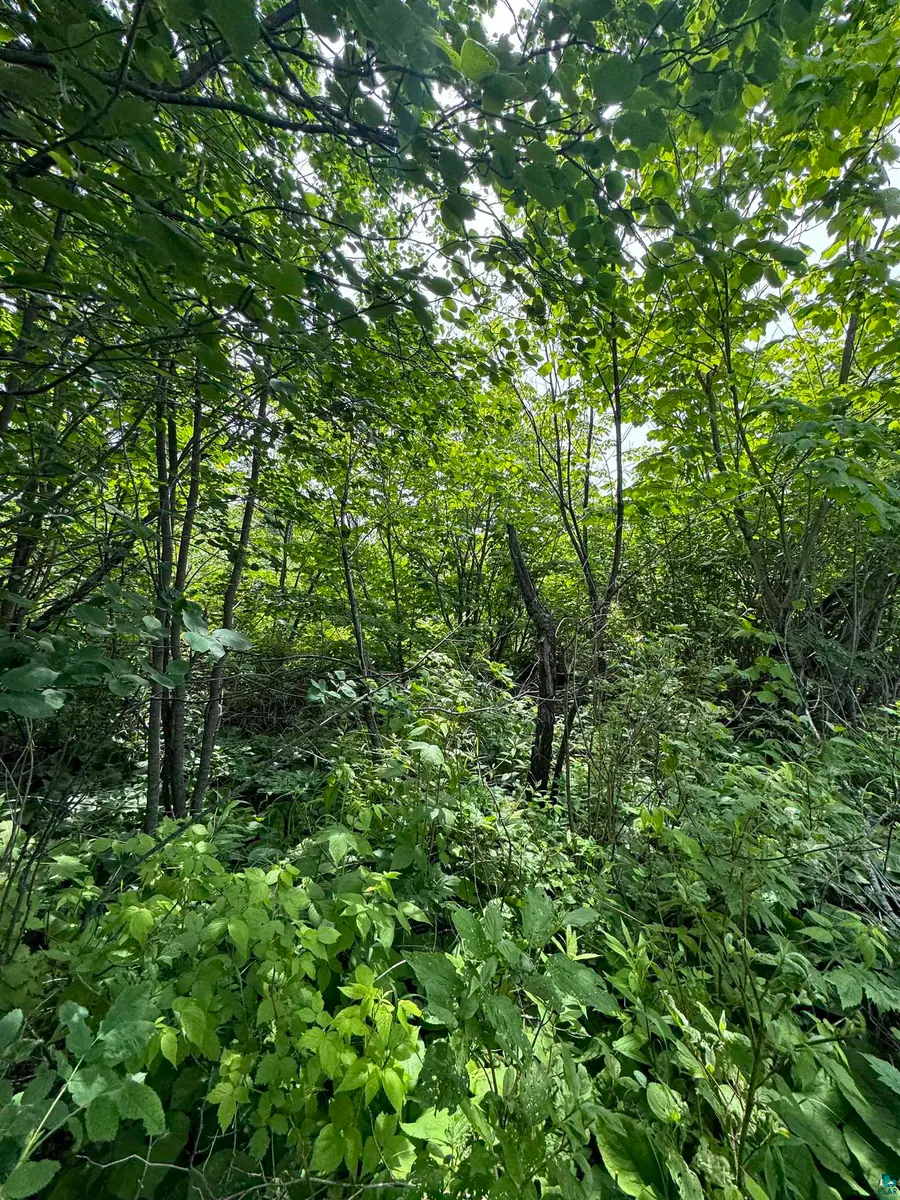 4X Hoaglund Dr, Tofte, MN 55615 - #3