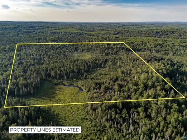 TBD Hoist Lake Rd, Finland, MN 55603