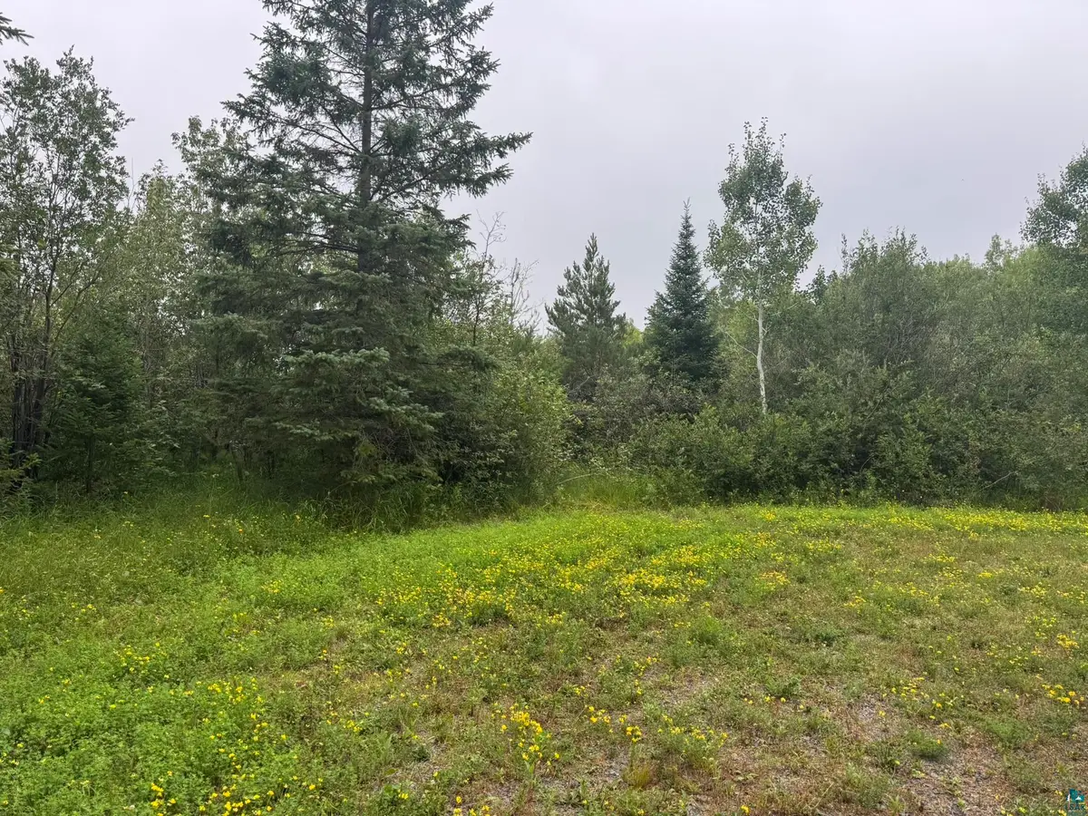 2231 Fors Rd, Two Harbors, MN 55616 - #1