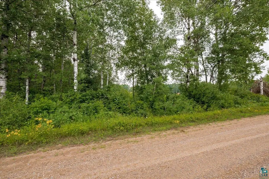XXX Lavell Rd, Meadowlands, MN 55765 - #2