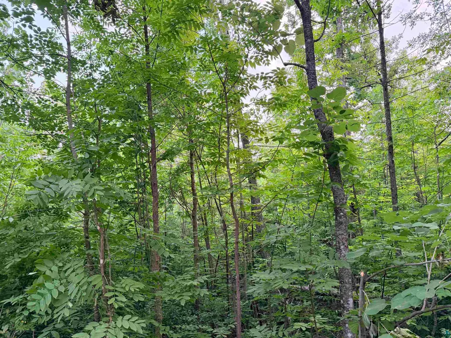 TBD Old Ferry Rd, Hinckley, MN 55037 - #3
