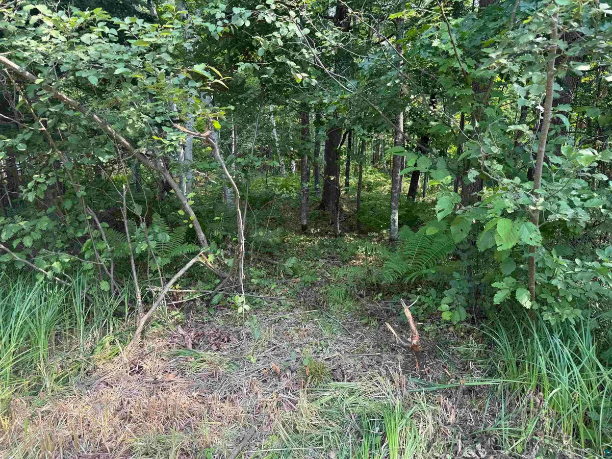 TBD Woodstock Rd, Sturgeon Lake, MN 55783-9999 - #1