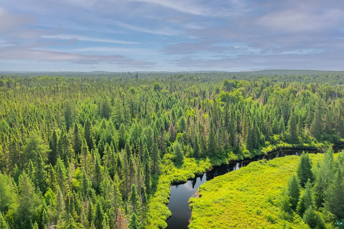 8364 E General Grade Rd, Finland, MN 55603 - #1