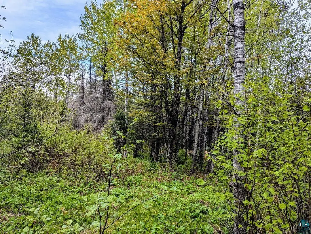 XX37 W Lismore Rd, Duluth, MN 55803 - #1