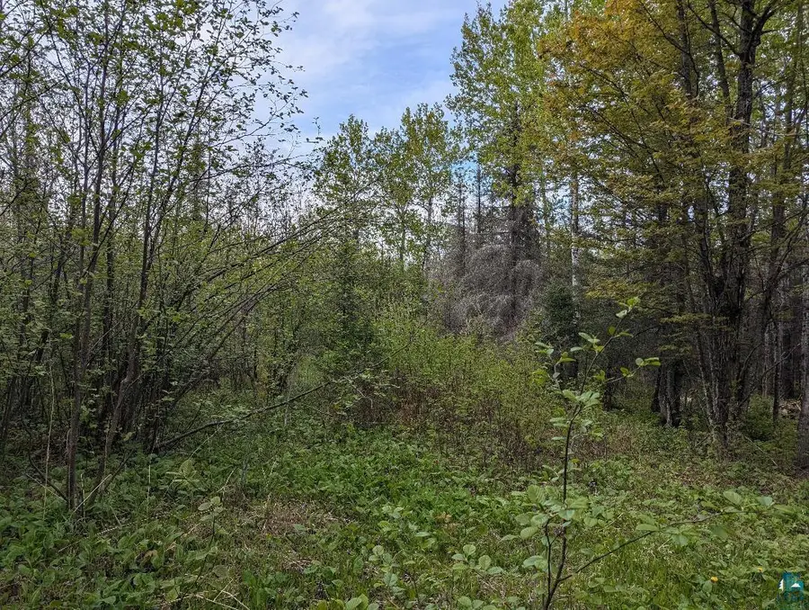 XX37 W Lismore Rd, Duluth, MN 55803 - #2