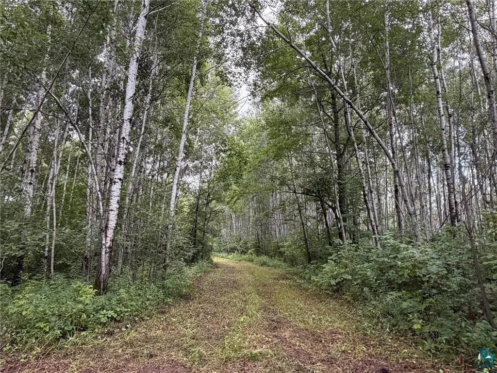 TBD County Rd 12, Kettle River, MN 55757 - #1