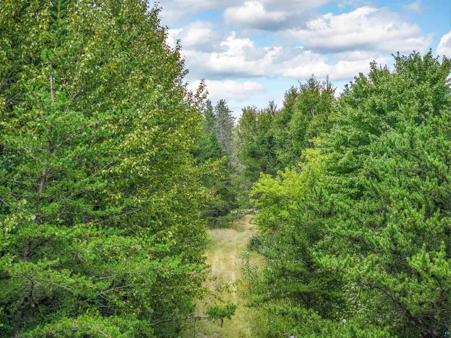 Tract B Highway 21, Babbitt, MN 55706-0000 - #3