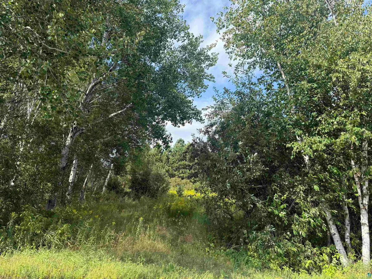 5 Evelyn St, Esko, MN 55733 - #1