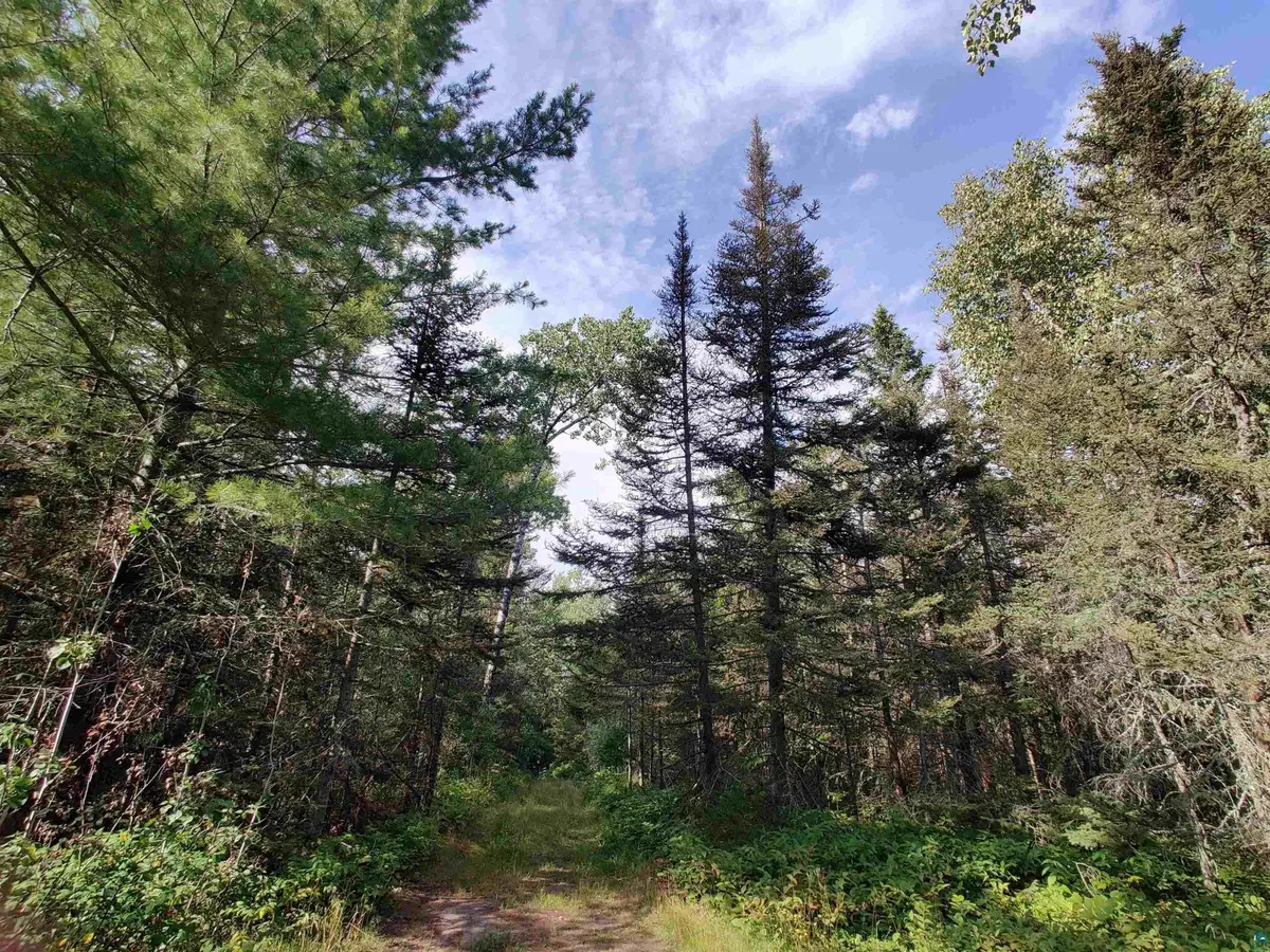 XXX Gauthier Rd, Hovland, MN 55606 - #1