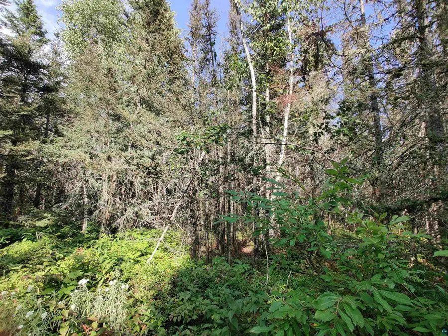 XXX Gauthier Rd, Hovland, MN 55606 - #2