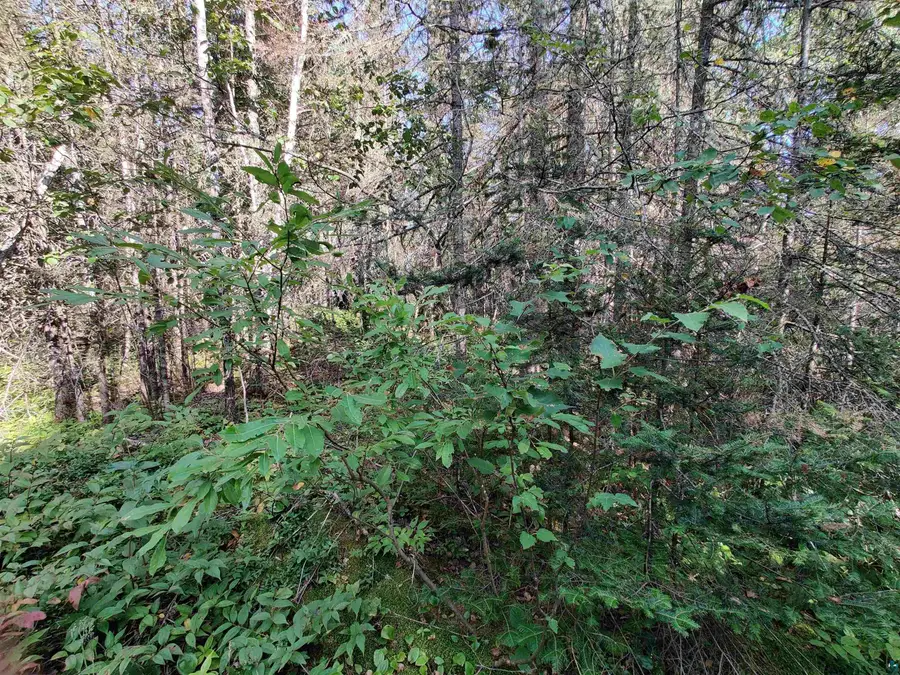 XXX Gauthier Rd, Hovland, MN 55606 - #3