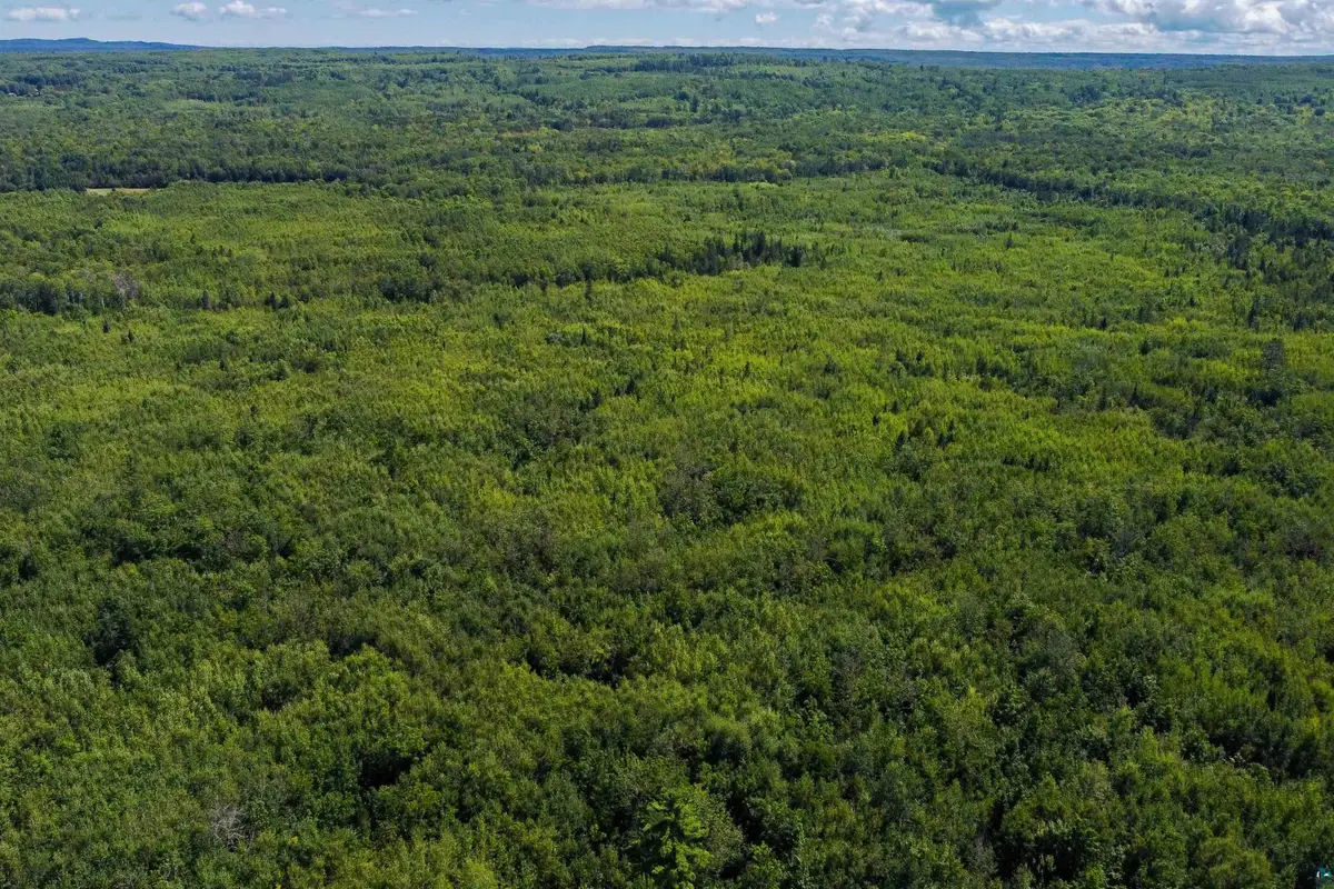 40 Acres Near State Hwy 13, Herbster, WI 54844 - #1