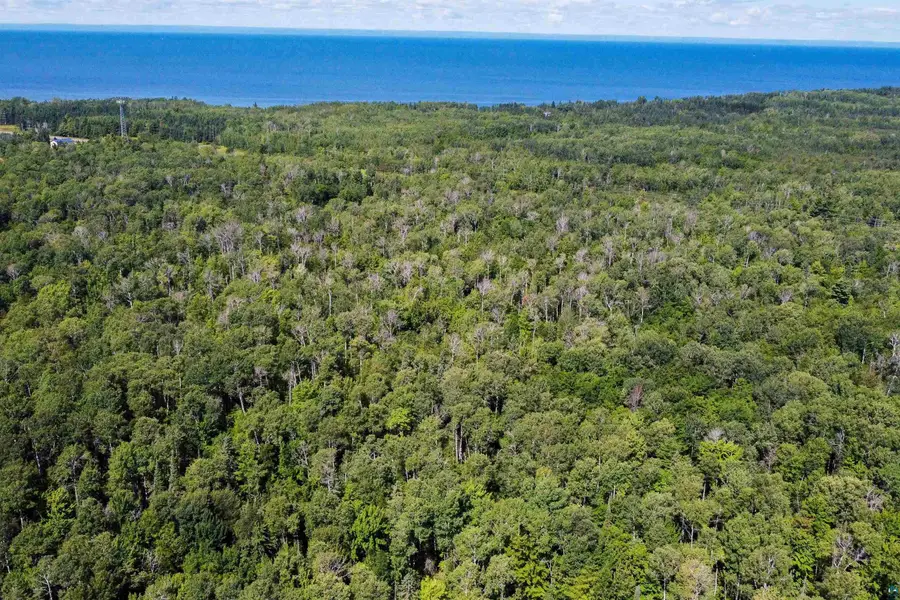 40 Acres Near State Hwy 13, Herbster, WI 54844 - #2