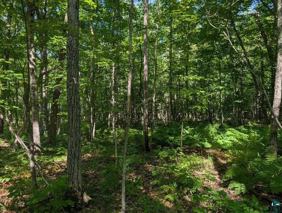xxx Cherryville Rd, Ashland, WI 54806 - #2