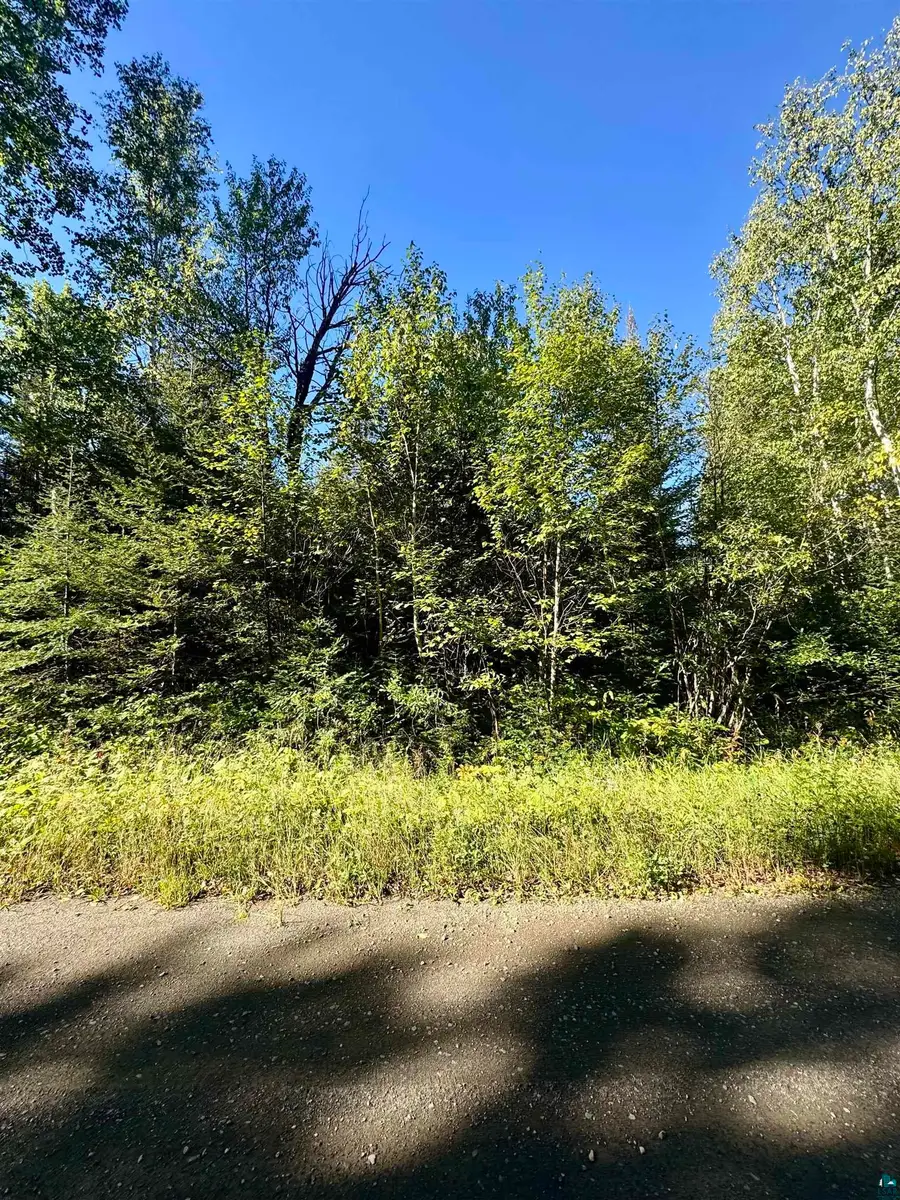 TBD Powers Lake Rd, Hovland, MN 55606 - #2