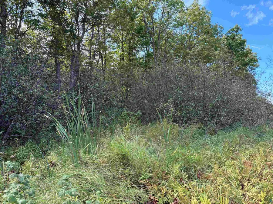 4981 Hwy 33 N, Saginaw, MN 55779 - #2