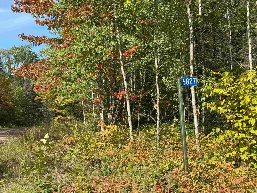 6827 Two Moose Tr, Finland, MN 55603 - #2