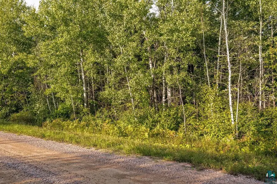 TBD Crane Lake Rd, Orr, MN 55771 - #3